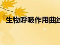 生物呼吸作用曲線圖（生物呼吸作用圖解）