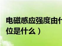 電磁感應強度由什么決定（電磁感應強度的單位是什么）