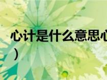 心計(jì)是什么意思心里的計(jì)劃（心計(jì)是什么意思）