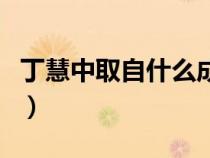 丁慧中取自什么成語?。ǘ』壑腥∽允裁闯烧Z）