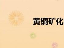 黃銅礦化學名稱（黃銅礦）