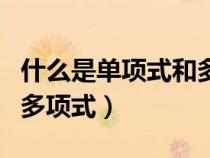 什么是單項式和多項式舉例（什么是單項式和多項式）