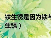 鐵生銹是因?yàn)殍F與空氣中的什么發(fā)生反應(yīng)（鐵生銹）