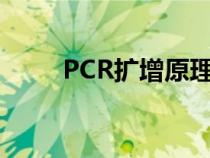 PCR擴增原理高中（pcr擴增原理）