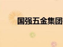 國強五金集團(tuán)有限公司（國強五金）