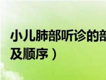 小兒肺部聽診的部位及順序（肺部聽診的部位及順序）