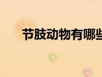 節(jié)肢動(dòng)物有哪些綱(節(jié)肢動(dòng)物有哪些) 節(jié)肢動(dòng)物有哪些綱(節(jié)肢動(dòng)物有哪些)