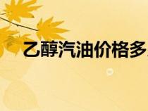 乙醇汽油價格多少一升（乙醇汽油價格）