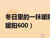 冬日里的一抹暖陽作文500字（冬日里的一抹暖陽600）