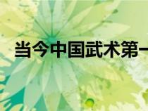 當今中國武術第一人（中國武術第一高手）