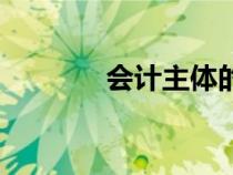 會計主體的概念（會計主體）