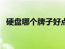 硬盤(pán)哪個(gè)牌子好點(diǎn)(硬盤(pán)哪個(gè)牌子質(zhì)量好) 硬盤(pán)哪個(gè)牌子好點(diǎn)(硬盤(pán)哪個(gè)牌子質(zhì)量好)