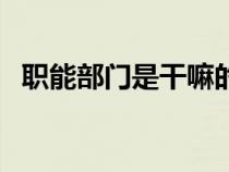 職能部門是干嘛的（職能部門是什么意思）