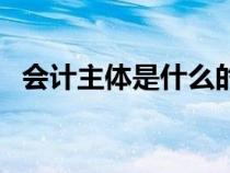 會計主體是什么的基礎(chǔ)（會計主體是什么）