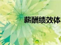 薪酬績(jī)效體系搭建(薪酬績(jī)效) 薪酬績(jī)效體系搭建(薪酬績(jī)效)