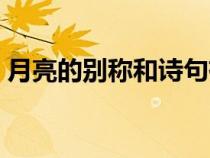 月亮的別稱和詩句有關(guān)（月亮的別稱和詩句）