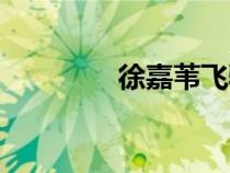 徐嘉葦飛馳人生（徐嘉葦）