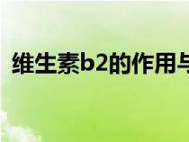 維生素b2的作用與功效（維生素b2的作用）
