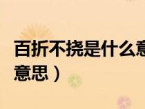 百折不撓是什么意思是什么（百折不撓是什么意思）