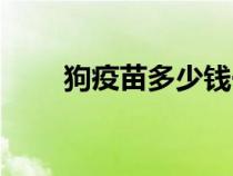 狗疫苗多少錢一針（狗疫苗多少錢）