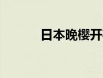 日本晚櫻開花時(shí)間（日本晚櫻）