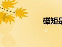 磁矩是什么(磁矩) 磁矩是什么(磁矩)