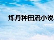 煉丹種田流小說（修真種田煉丹的小說）