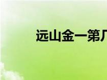 遠山金一第幾集出場（遠山金一）