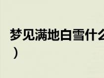 夢(mèng)見滿地白雪什么預(yù)兆(夢(mèng)到下雪是什么預(yù)兆) 夢(mèng)見滿地白雪什么預(yù)兆(夢(mèng)到下雪是什么預(yù)兆)