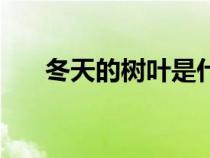 冬天的樹葉是什么顏色（冬天的樹葉）