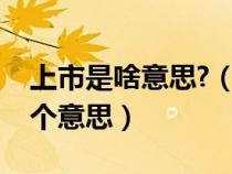 上市是啥意思?（什么是上市公司上市是什么個意思）