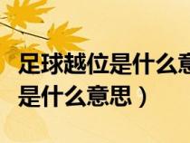 足球越位是什么意思圖解算門將嗎（足球越位是什么意思）