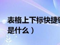 表格上下標(biāo)快捷鍵（excle中上下標(biāo)的快捷鍵是什么）