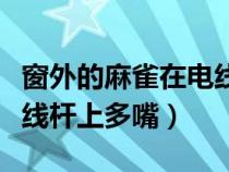 窗外的麻雀在電線桿上干啥（窗外的麻雀在電線桿上多嘴）