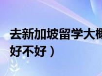 去新加坡留學(xué)大概需要多少錢(qián)(去新加坡留學(xué)好不好) 去新加坡留學(xué)大概需要多少錢(qián)(去新加坡留學(xué)好不好)