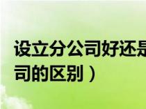設(shè)立分公司好還是新辦公司好（分公司與子公司的區(qū)別）