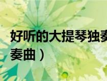 好聽的大提琴獨(dú)奏曲有哪些（好聽的大提琴獨(dú)奏曲）