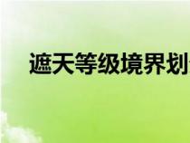 遮天等級境界劃分代表人物（遮天等級）