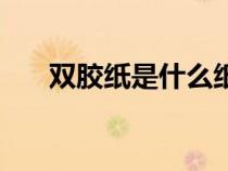 雙膠紙是什么紙漿（雙膠紙是什么紙）