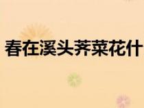 春在溪頭薺菜花什么意思（春在溪頭薺菜花）