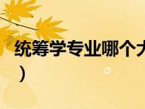 統(tǒng)籌學(xué)專業(yè)哪個大學(xué)最好(統(tǒng)籌學(xué)是學(xué)什么的) 統(tǒng)籌學(xué)專業(yè)哪個大學(xué)最好(統(tǒng)籌學(xué)是學(xué)什么的)