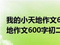 我的小天地作文600字初二記敘文（我的小天地作文600字初二）