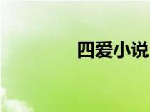 四愛小說（女攻男受小說）
