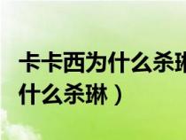 卡卡西為什么殺琳多少級(jí)解釋原因（卡卡西為什么殺琳）