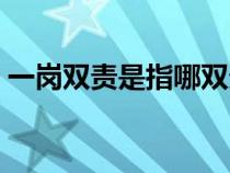 一崗雙責是指哪雙責（一崗雙責是什么意思）