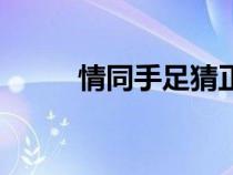 情同手足猜正確生肖（情同手足）