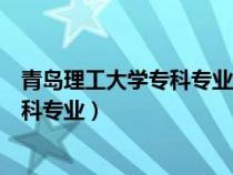 青島理工大學(xué)專(zhuān)科專(zhuān)業(yè)計(jì)算機(jī)科學(xué)與技術(shù)(青島理工大學(xué)專(zhuān)科專(zhuān)業(yè)) 青島理工大學(xué)專(zhuān)科專(zhuān)業(yè)計(jì)算機(jī)科學(xué)與技術(shù)(青島理工大學(xué)專(zhuān)科專(zhuān)業(yè))