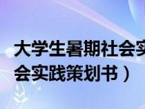 大學(xué)生暑期社會實踐策劃模板（大學(xué)生暑期社會實踐策劃書）