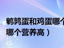 鵪鶉蛋和雞蛋哪個營養(yǎng)價值高（鵪鶉蛋和雞蛋哪個營養(yǎng)高）