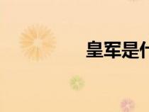 皇軍是什么意思（皇軍）